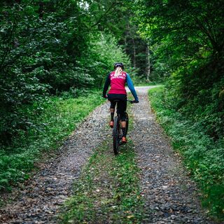 Transfer Alban Berg Uphill Trail und Alban berg Trail