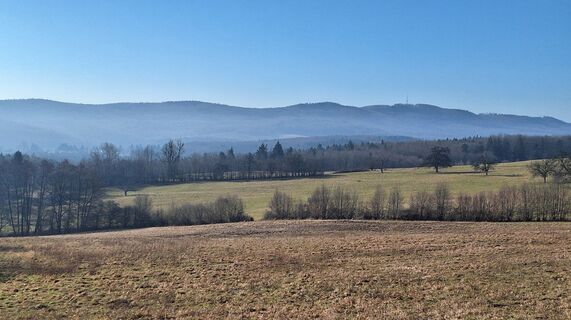 Foto de Regina Fleischmann a lo largo del recorrido
