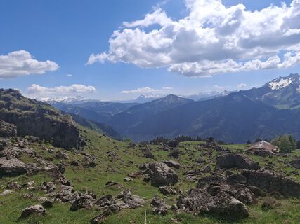 Foto de Joce a lo largo del recorrido