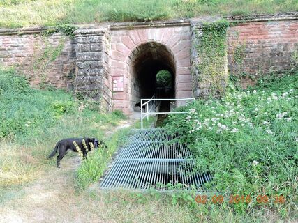 Unterquerung RE17022