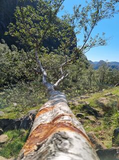 Photo de Andreas Mohr le long du parcours