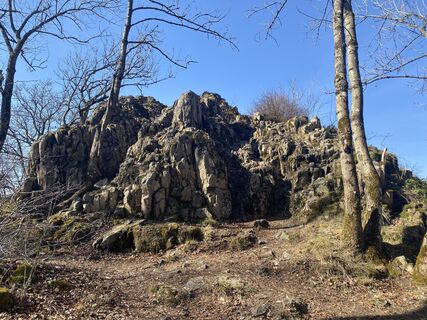 Fotografia z Arthur Muskalla na trase
