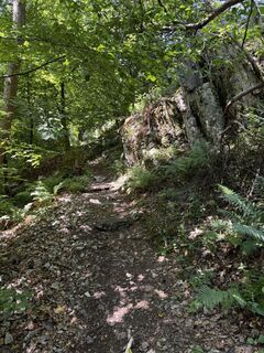 Photo de Andreas Endres 1 le long du parcours