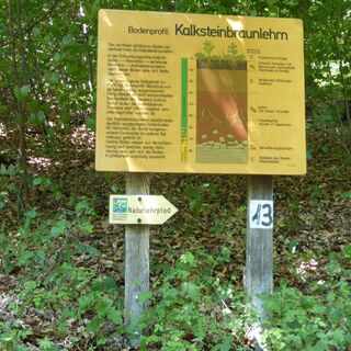 Naturlehrpfad, Bodenprofil, Adelsheim