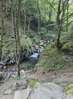 Photo de Andreas Schneider 7 le long du parcours