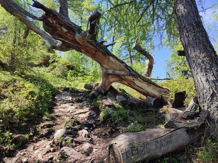 Die drei Minuten zur Hütte schaffen wir jetzt auch noch