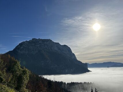 Foto van Barbara Berger langs de tour