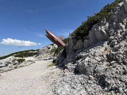 Foto de sinko a lo largo del recorrido