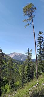 Foto fra Bergpirat underveis på turen