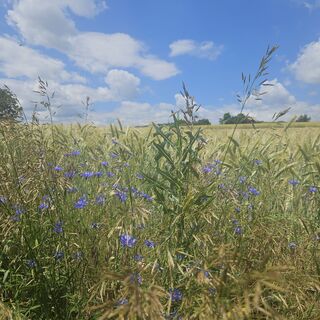Fotografie z Marija Minkin 1 na trase