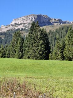 Fotografia z Friedrich Karl Gropengiesser na trase