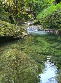 Foto från Birgit Spiegel under resans gång