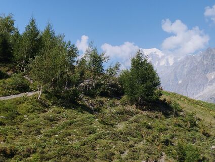 Photo de Ivan Monbailliu le long du parcours