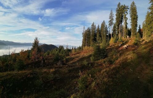 Wanderweg zur Hochmölbinghütte