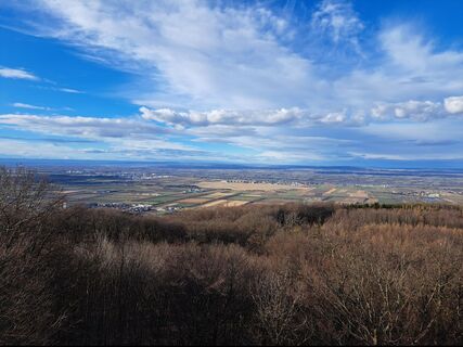 Foto de Walter Köllner a lo largo del recorrido