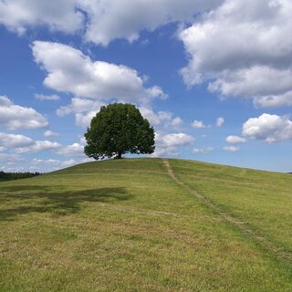 Der Weg führt am Feldherrenhügel entlang