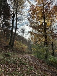 Foto von Yves Ecuyer entlang der Tour