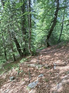 Foto von thorvald0974 entlang der Tour