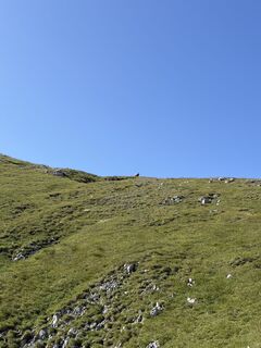 Foto von David Macherhammer entlang der Tour