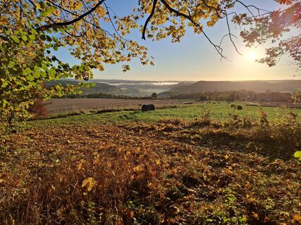 Foto von Wollomator entlang der Tour