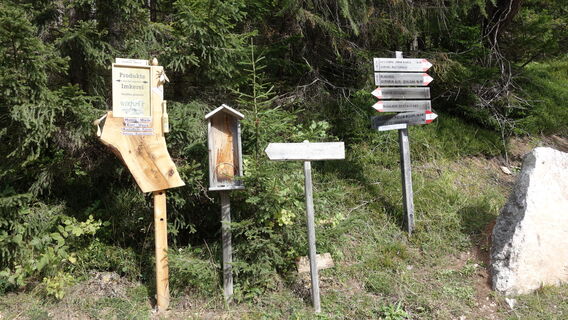 Aufstieg auf der Almstraße
