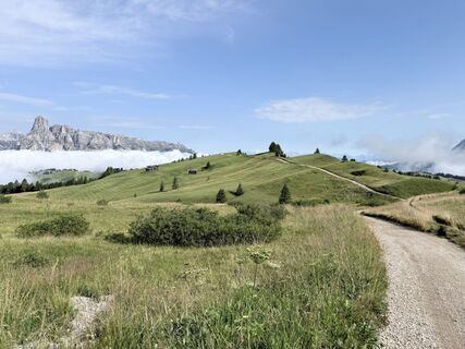 Foto de michele angelini a lo largo del recorrido