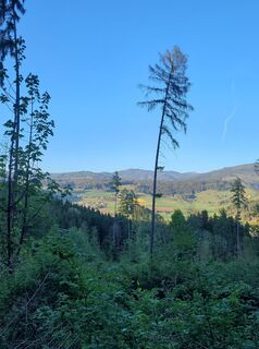 Photo de W Henzinger le long du parcours