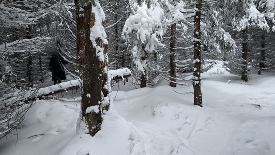 Foto von Katja Senkel entlang der Tour