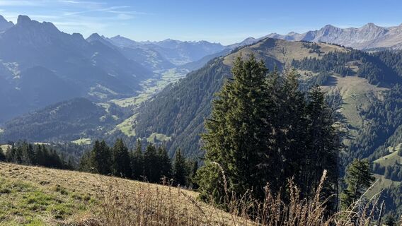 Foto von peter_oe entlang der Tour
