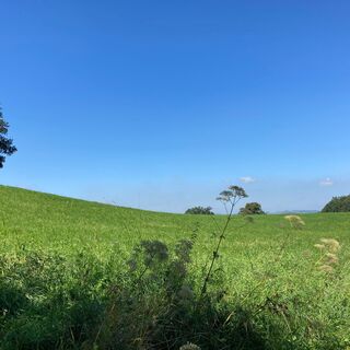 Wiese oberhalb von Grevenbrück 3.jpeg