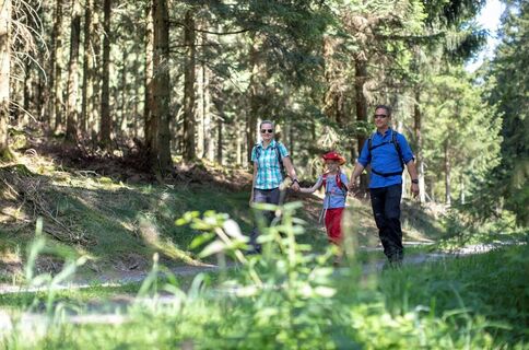 Durch grüne Wälder