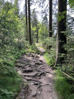Foto von Christina Apel 1 entlang der Tour