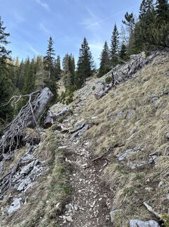 Photo de Robert Hofbauer 1 le long du parcours