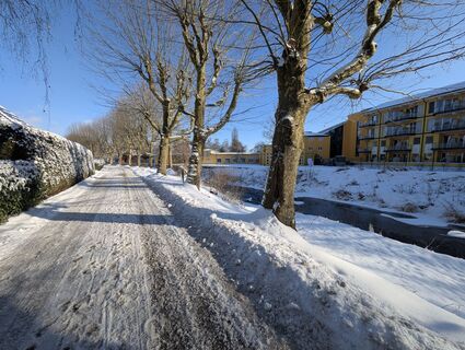 Zdjęcie z Stefan Bock wzdłuż trasy
