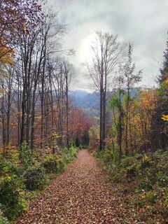 Foto von ReginaSt entlang der Tour