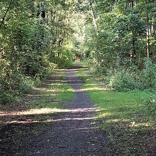 Auenwald Arnstadt Ichtershausen