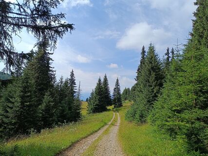 Fotó a Žaneta Schelling honlapról a túra során