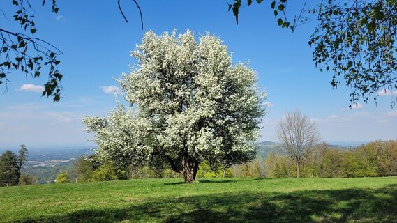 Fotografia z Juliane Jarke na trase