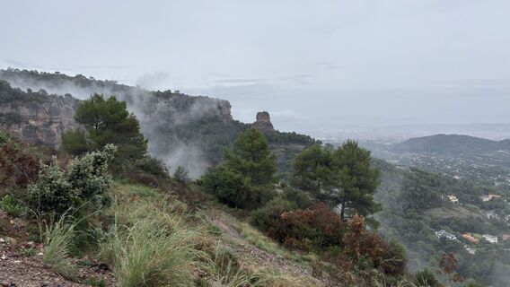 Fotografia z sagal na trase