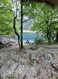 Hinterer nach Vorderen Gosausee