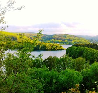 Blick auf die Rebondines-Inseln