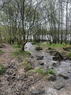 Foto von Maximilian Schranz entlang der Tour