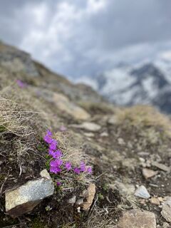 Foto von Masu entlang der Tour