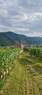 Foto från Hans Boria under resans gång