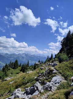 Photo de King Kong le long du parcours