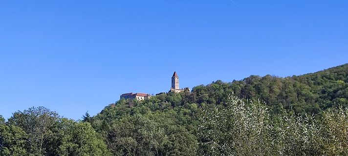 Photo de HH le long du parcours