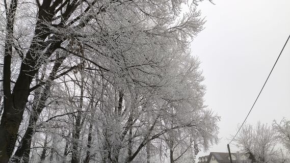 Fotó a WilliSt honlapról a túra során