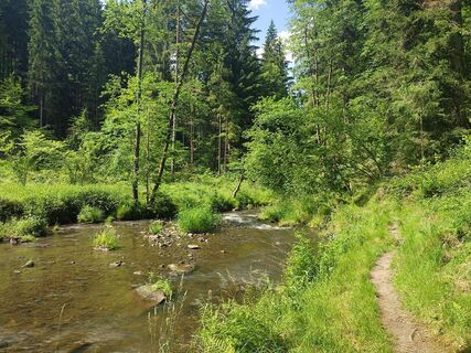 Kösslbach unterhalb von Kneiding in Ri Donaumündung