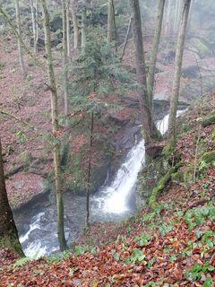 Foto von Wanderfux entlang der Tour