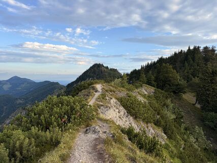 Foto von Natur_erleben_dg entlang der Tour